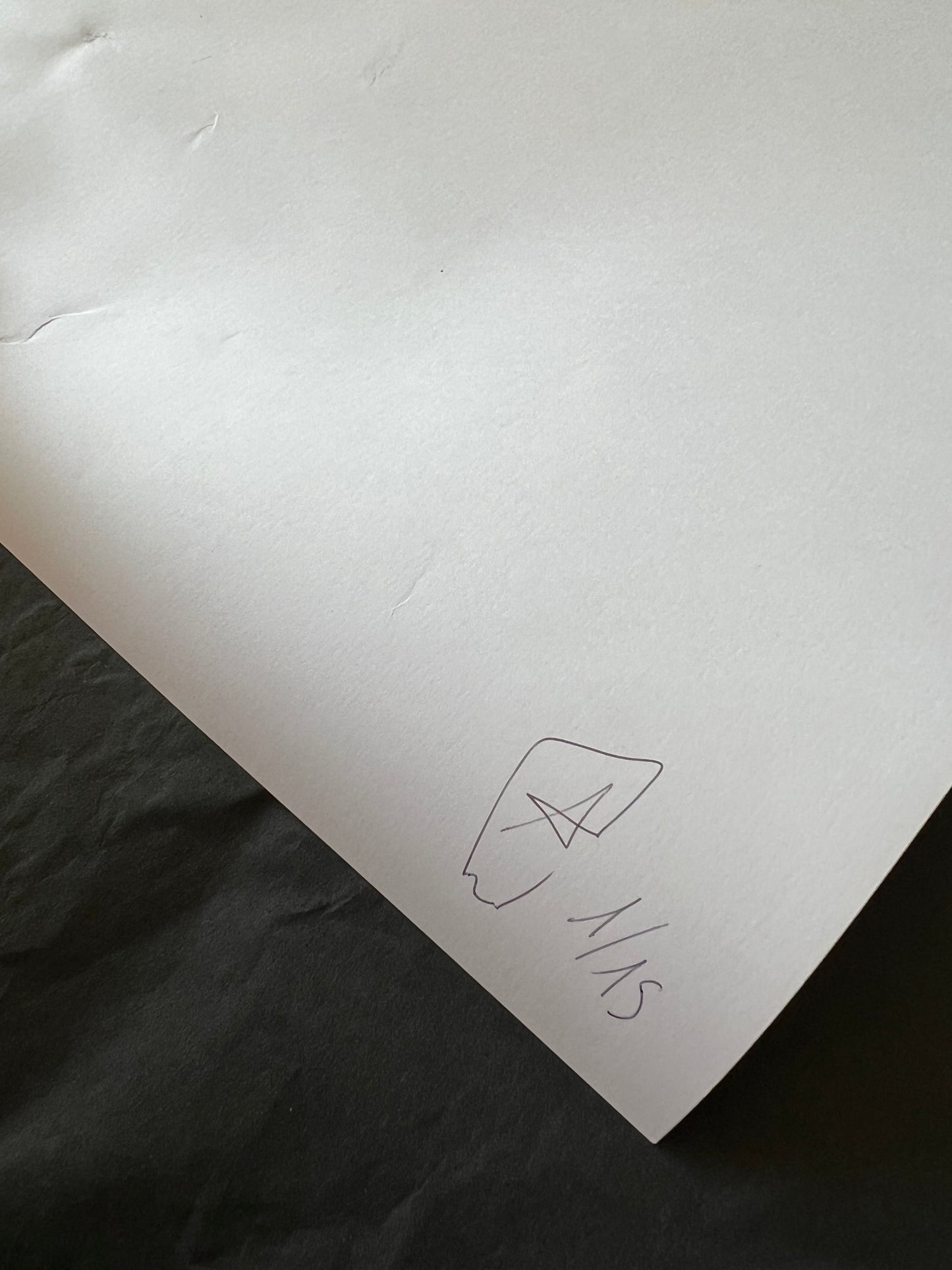 Stagah Artworks, Woods - Signed Print