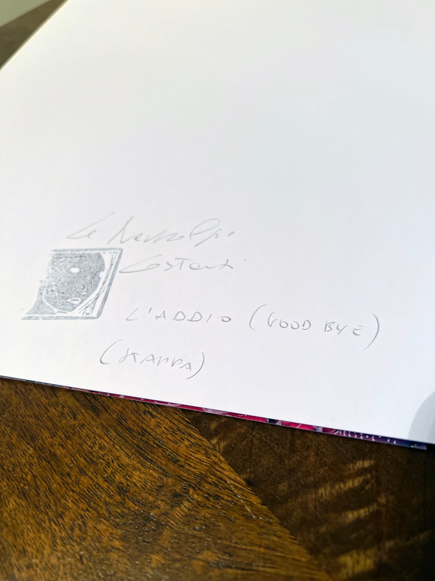 Le Nevralgie Costanti, Goodbye - Signed Print