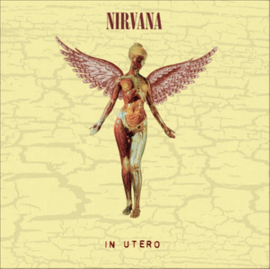 Nirvana, In Utero – 8-LP Super Deluxe Box Set